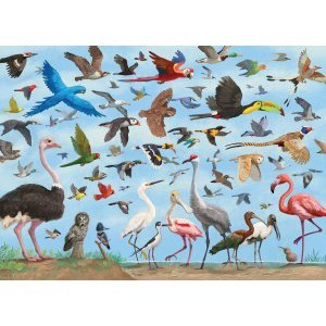 Peter Pauper Press Jigsaw Puzzles - 20 Prints