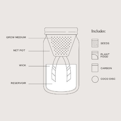 Modern Sprout Garden Jar