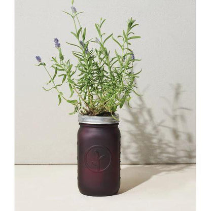 Modern Sprout Garden Jar