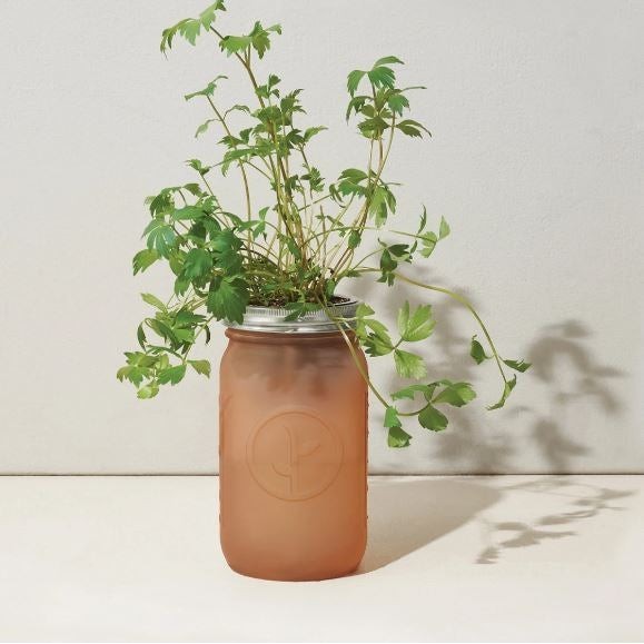 Modern Sprout Garden Jar