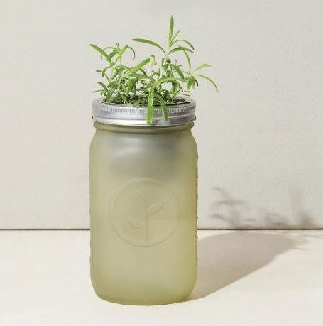 Modern Sprout Garden Jar