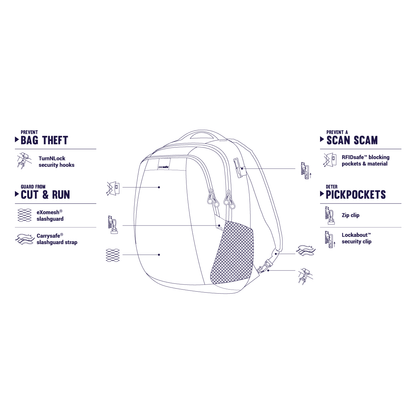 PacSafe Metrosafe LS350 anti-theft 15L backpack