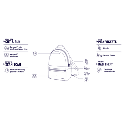 PacSafe Daysafe Anti-Theft Backpack