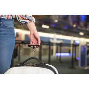 Travelon Micro Luggage Scale