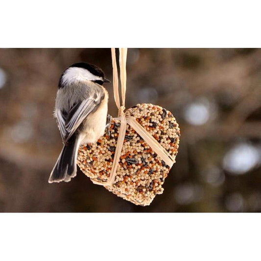 Product Image – Charlotte's BirdseedCharlotte's Birdseed: Small Heart Birdseed FeederBird Seed1016448