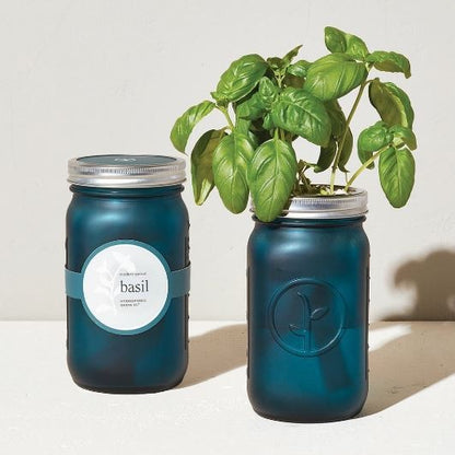 Modern Sprout Garden Jar