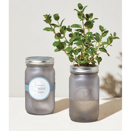 Modern Sprout Garden Jar