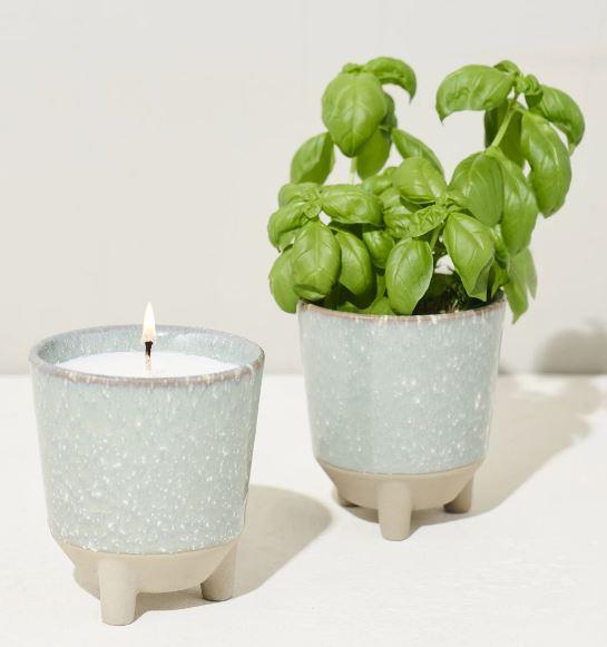 Modern Sprout Glow & Grow Candle Kits