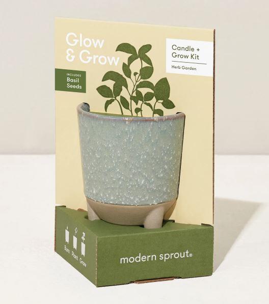 Modern Sprout Glow & Grow Candle Kits