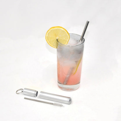 Stainless Steel Travel Straw Set