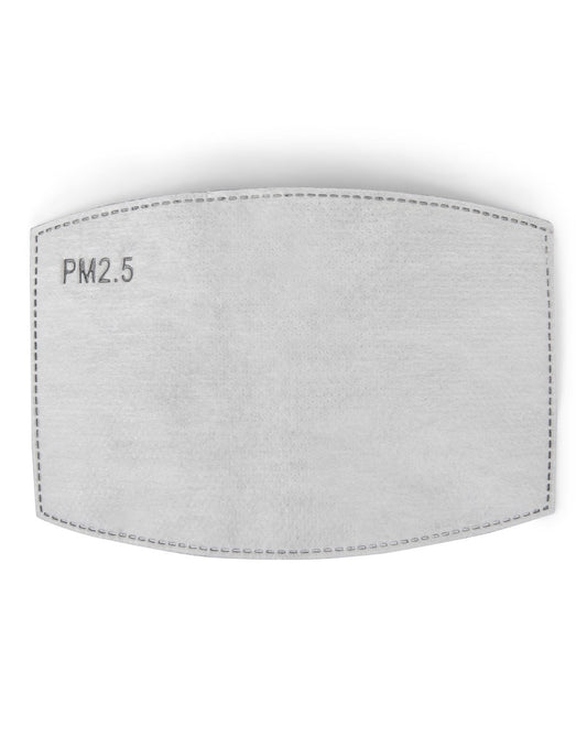 Product Image – Image showing face mask filter in light grey colour.