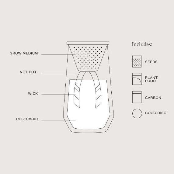 Modern Sprout Tapered Tumbler - Basil or Eucalyptus